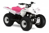 2009 Suzuki QuadSport Z50 Special Edition photo